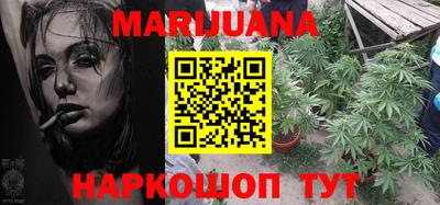 шишки Лесосибирск