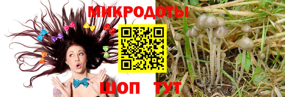 Псилоцибиновые грибы мицелий  Вход с VPN  где купить   Донецк 