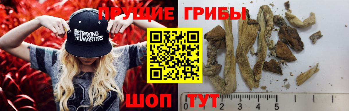Псилоцибиновые грибы Cubensis Донецк